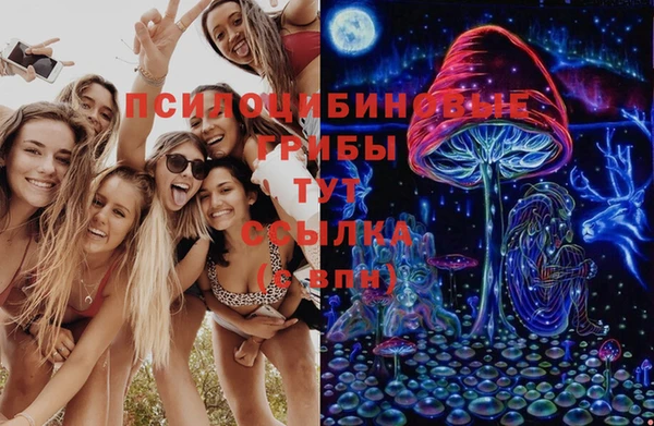 прущие крисы Горняк