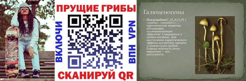 купить наркоту  KRAKEN как войти  даркнет телеграм  Приозерск  Галлюциногенные грибы ЛСД 